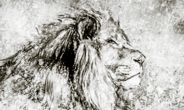 How to Draw or Paint a Lion: Complete 6-Step Tutorial with Examples