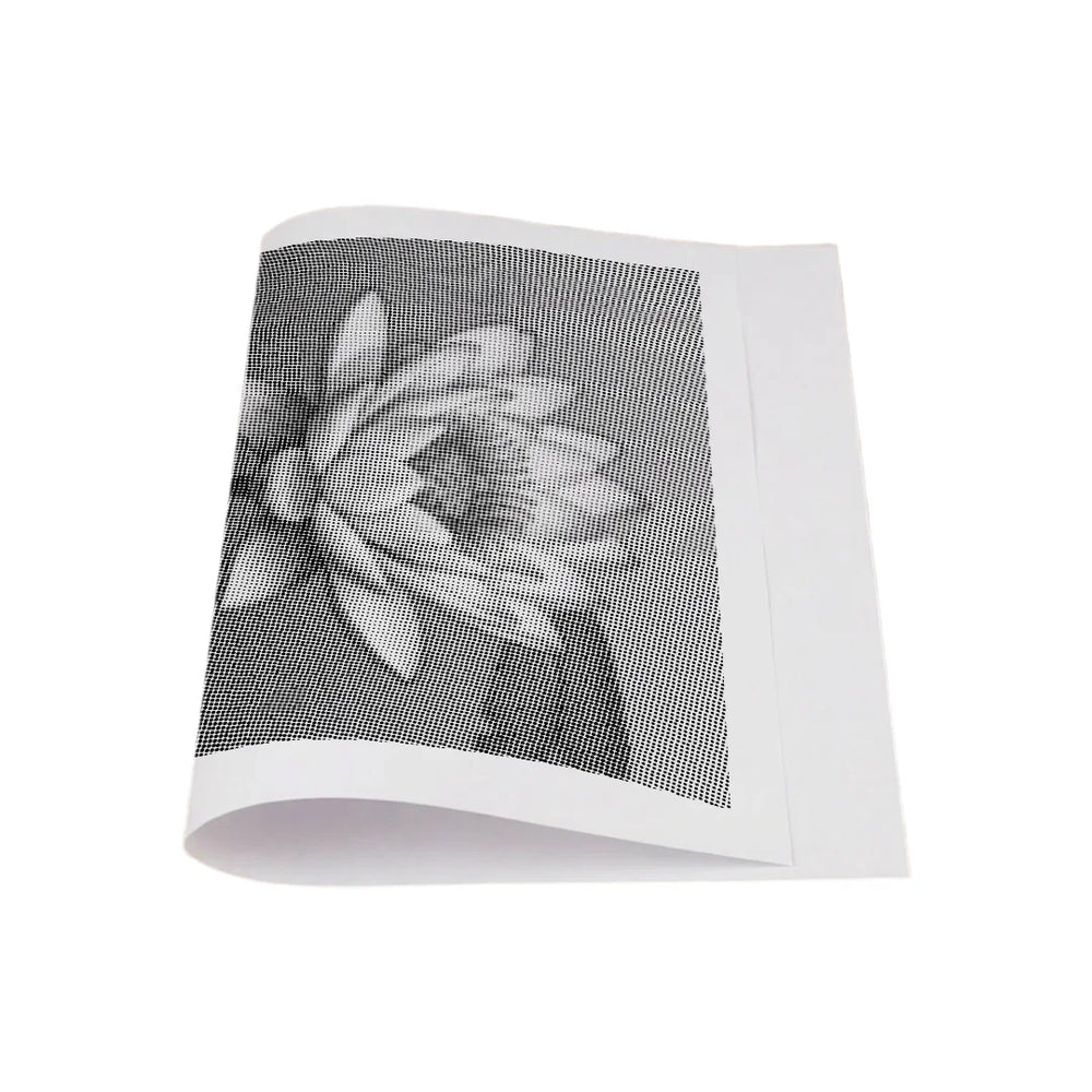 Water Lily on the Water Dot Painting