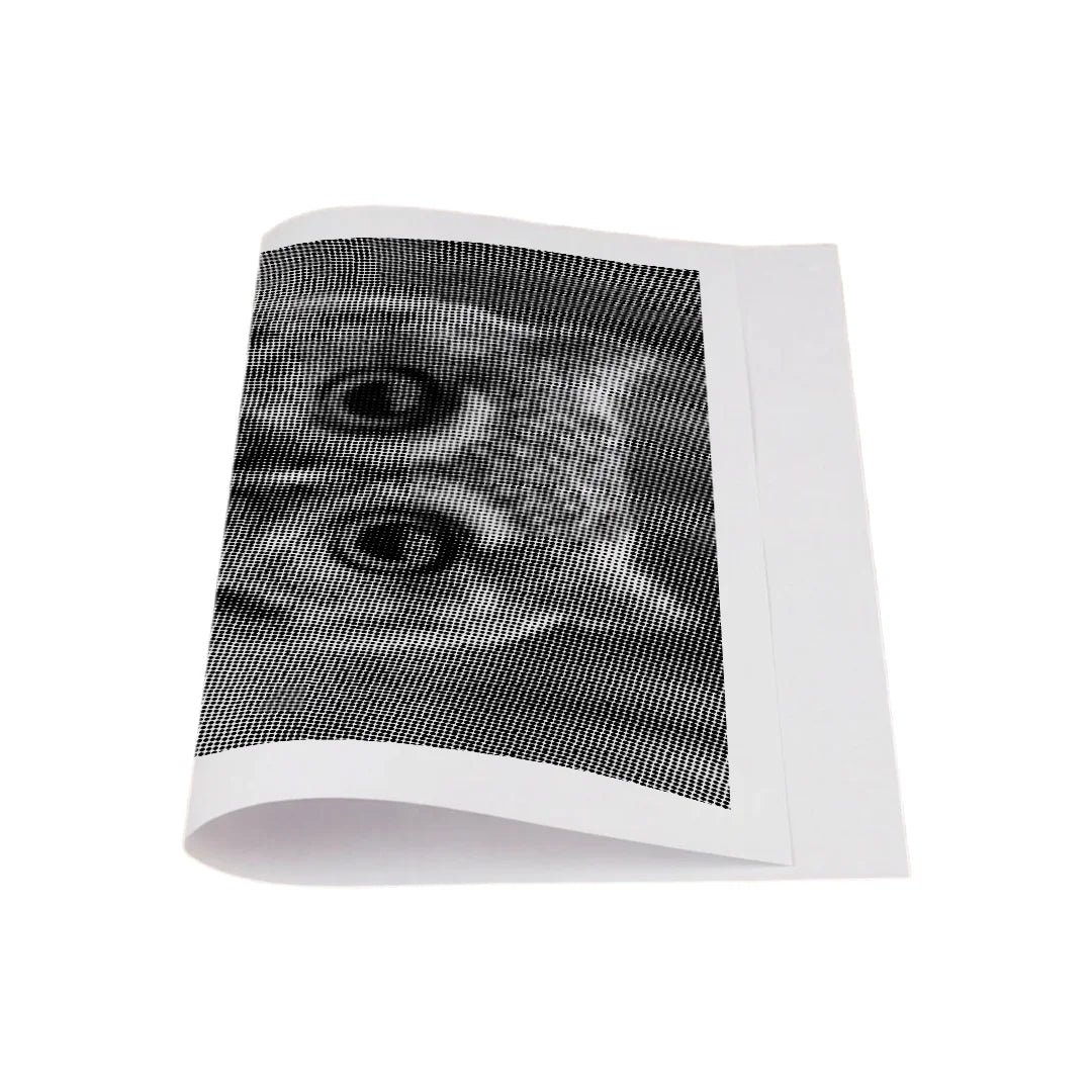 Small Owl with Big Eyes Dot Painting