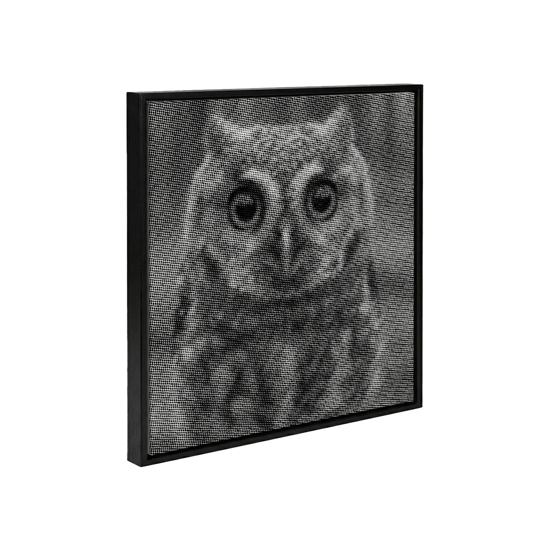 Small Owl with Big Eyes Dot Painting
