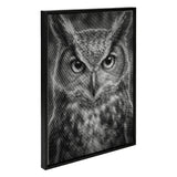 Angry Owl Dot Painting