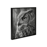 Owl 4 Dot Painting