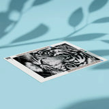 Diamond Painting - Tigre Preto e Branco