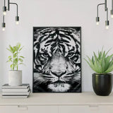 Diamond Painting - Tigre Preto e Branco