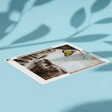 Diamond Painting - Gato e uma Borboleta