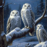 Diamond Painting - Eulen im Schnee