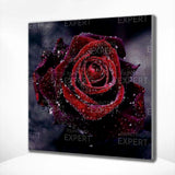 Diamond Painting - Red Rose