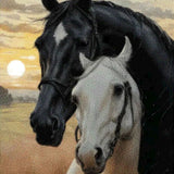 Diamond Painting - Zwei Pferde
