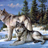 Diamond Painting – Zwei Wölfe