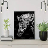 Diamond Painting - Zebra Portrait