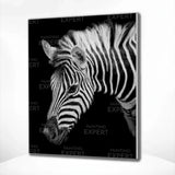 Diamond Painting - Zebra Portrait