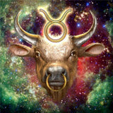 Diamond Painting - Sterrenbeeld Stier