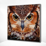 Diamond Painting - Owl Portrait