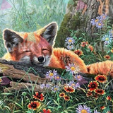 Painting by numbers Sleeping Fox