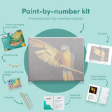 Painting by numbers Beautiful Parrot