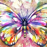 Painting by numbers Butterfly