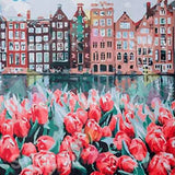 Painting by numbers City with flowers