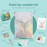 Painting by numbers Colored Deer