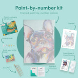 Painting by numbers Colourful Bulldog