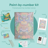 Painting by numbers Colourful Owl