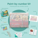 Painting by numbers Dogs in a Red Car