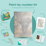 Painting by numbers Elephant with Sunset