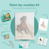 Painting by numbers Horse at a Gallop