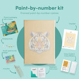 Painting by numbers Lion Polygon Orange