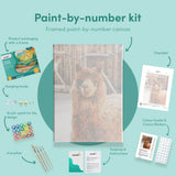Paint by numbers Lama
