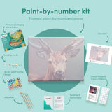 Painting by numbers Modern Deer