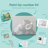 Painting by numbers Monkey Headphones
