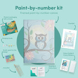 Painting by numbers Owl with Flowers