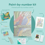 Paint by numbers Papegoja