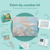 Painting by numbers Sea Turtle