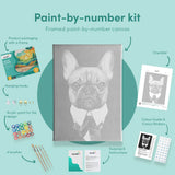 Paint by numbers Tuff Bulldog