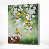Painting by numbers Yellow Birds with White Flowers