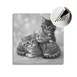 3 Cute Kittens Dot Painting